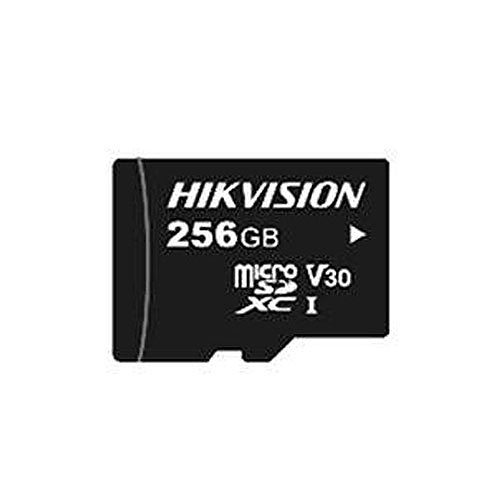 海康威視 HS-TF-L2/256G/P CL10 Micro SD 卡,256GB