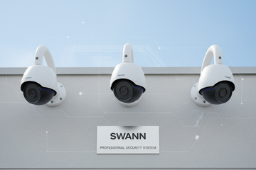 Swann